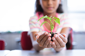 Young girl holding a seedling in her hands